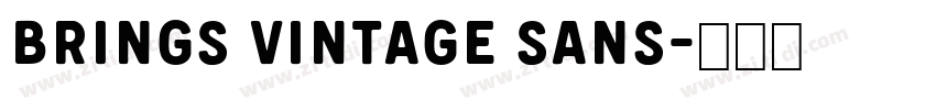 brings vintage sans字体转换